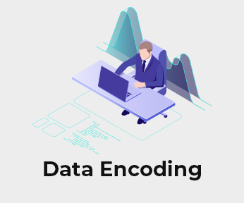 Data Encoding Services - AnyTask.com