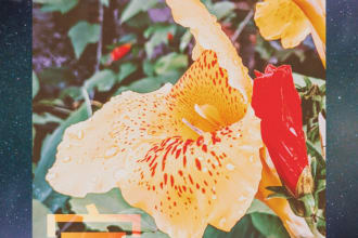 andregalileo's task image 2