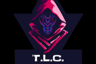 diicot's task image 1
