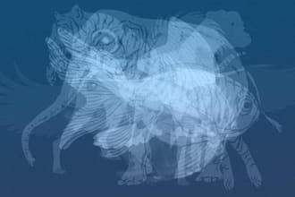 jalibank's task image 1