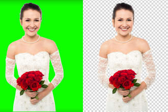 rkshahin's task image 1