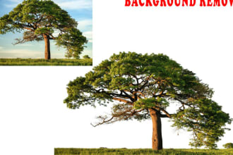 perfectdesigner's task image 8