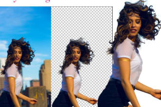 perfectdesigner's task image 3