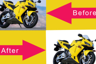 perfectdesigner's task image 2
