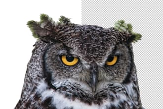 designworld75's task image 4