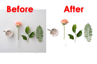 techshafiq's task image 2