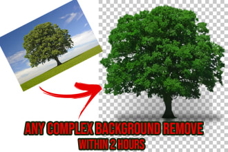 designeraziz's task image 2