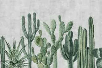 hannahpalmer's task image 1
