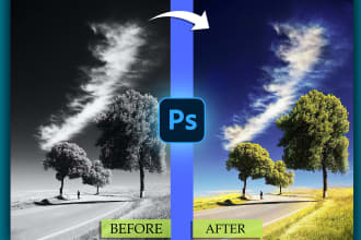 pvgraphix's task image 1