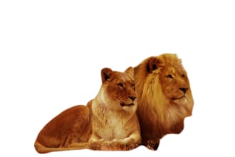 tanvir17's task image 4