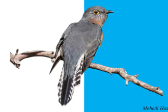 graphicstorm's task image 2