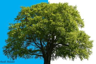 graphicstorm's task image 6
