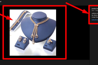 expertidea's task image 5