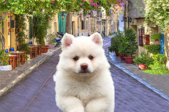 hasanul77's task image 6
