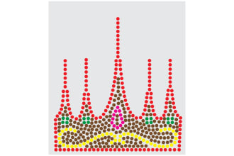 ataujjaman's task image 2