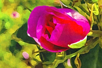 hermann42's task image 11