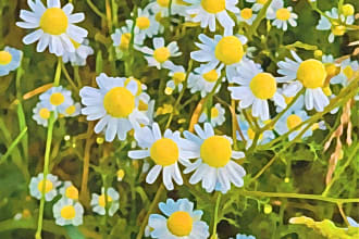 hermann42's task image 6