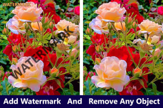 ahmedbablu2374's task image 1