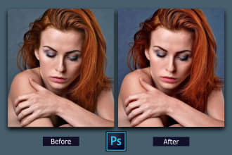 nicholasshuvo's task image 2