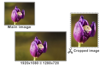 iksagor's task image 2