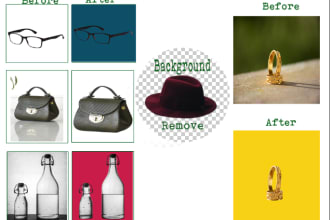 shantawizard's task image 1