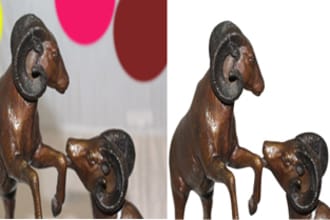 jonabali's task image 1