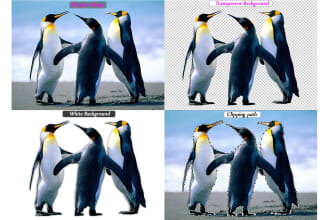 mijanur321's task image 3
