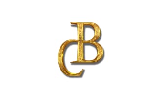 ranichauhan's task image 5