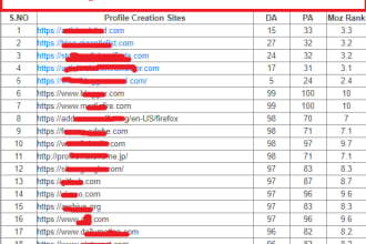 seoshoaib's task image 3