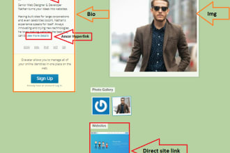 seoshoaib's task image 4