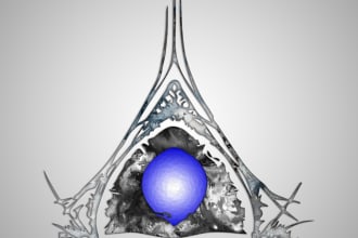 topdesign's task image 5
