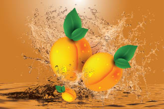 irinparvinayan's task image 3