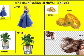 ahosanarh's task image 3