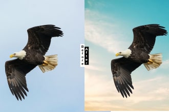 topusarker's task image 3