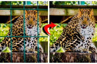ajoyghosh007's task image 1