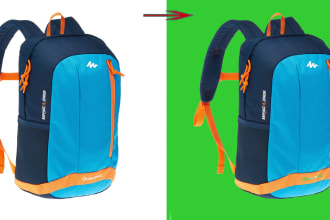 freelancernoyon's task image 1