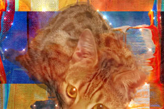 annika's task image 1