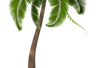 nissi's task image 2