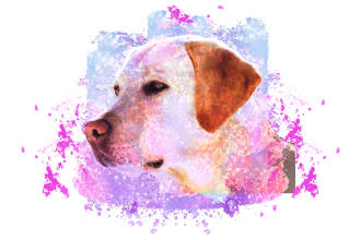 designerlitan's task image 1