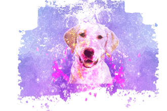 designerlitan's task image 2