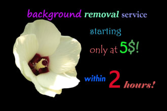 kabiulislam's task image 3