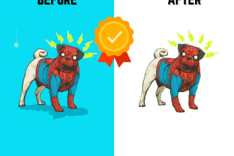 syedishtiak37's task image 1