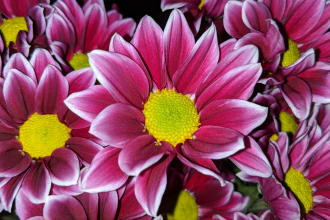 mehigh87's task image 8