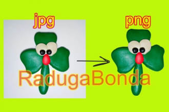 tanzilatanju12's task image 3