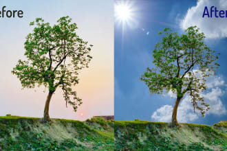 shamsuddoha's task image 6