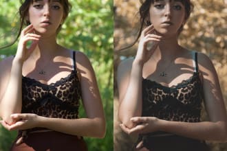 chloevirlouvet's task image 1