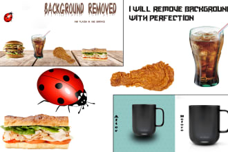 rakibhsn's task image 1