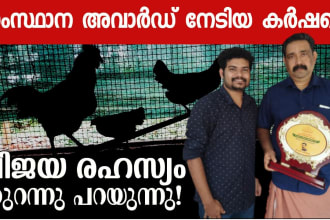rjarunlmr's task image 1