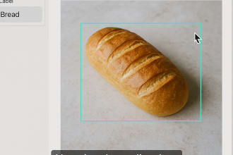 yetton's task image 2