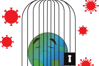 jamiulislam's task image 2